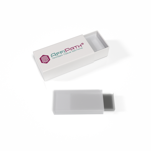 [AFG-ZGN-1028] AffiPATH®​ Mouse CD1 Brain Horizontal Paraffin Sections