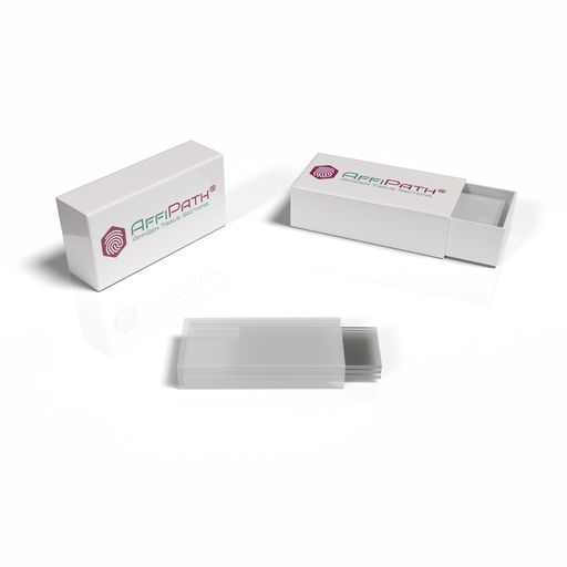 [AFG-BCR-0753] AffiPATH®​ Palatine tonsil inflammation tissue array (age<40 years) replacing TS801